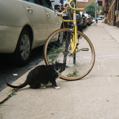 madladycaveman's profile picture. mad baddie rad glad 🇵🇸🕊️madladycaveman@gmail.com