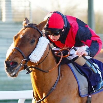 UK horse racing syndicate based in South Derbyshire, trained by John Mackie. 56 winners to date, DM for details...https://t.co/3FCXpSHZtX