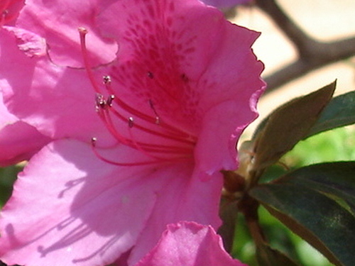 artist_gal511's profile picture. 