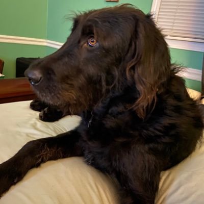 MechsSherri's profile picture. 