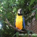 Anna May - @AnnaMay49 - Twitter