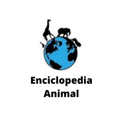 EnciclopediaAnimal, blog sobre animales.
https://t.co/nXnZItubb6
Instagram: https://t.co/WXrvxTE78m
Youtube: https://t.co/e1DUHX31kw…