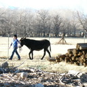 toni richards - @tonisr1953 - Twitter