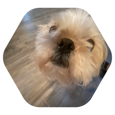 HourBN's profile picture. hey lol. 20