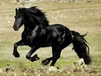 PepeLorenzoG's profile picture. 