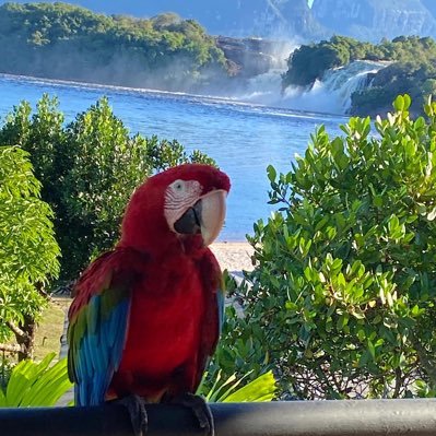 Venezolana con ganas de rescatar mi país y ayudar para que todos seamos felices.