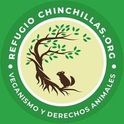 El primer refugio chileno de chinchillas rescatadas de la explotación animal.
 
*Promovemos el Veganismo y los Derechos Animales*