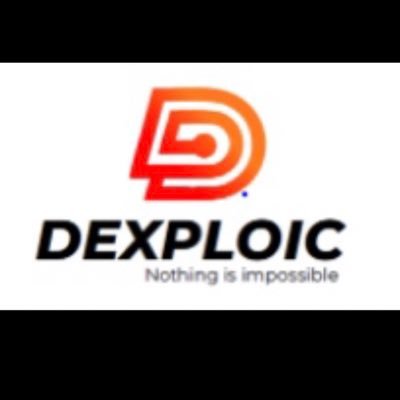 dexploic's profile picture. System Integrator