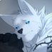 KOA (Macro/Micro) (@KOA_WOLF) Twitter profile photo