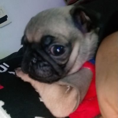 05claus's profile picture. 