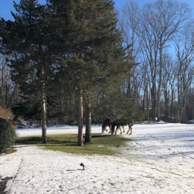 senortheroux5's profile picture. 