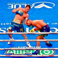 🥋 (@complicatedarts) 's Twitter Profile Photo