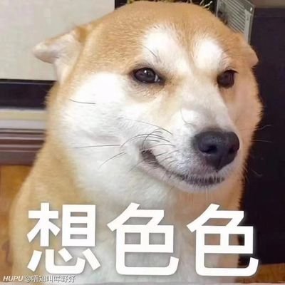 Linuxs13's profile picture. xx