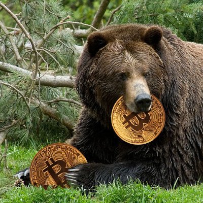 Crypto Bear, but bullish