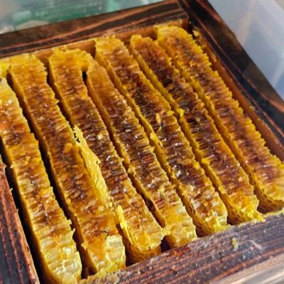 ashitamojiyuu's profile picture. 素人投資、養蜂、家庭菜園、ガンプラ販売、ダイエット中 ドラゴンボールスーパーダイバーズ
