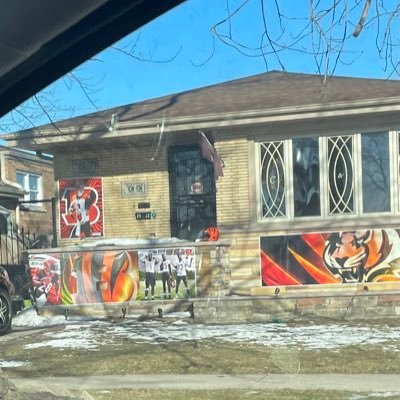 Biggest Bengal Fan in Evergreen Park, IL (not really him)