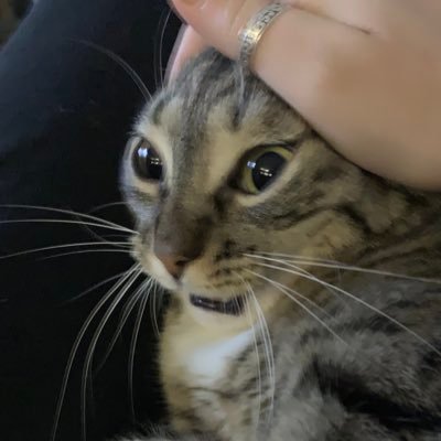 1312
