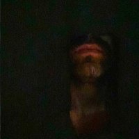 BshwkGH (@bshwkgh) 's Twitter Profile