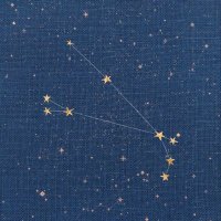STAR LOST 💫 (@starlostau) 's Twitter Profile