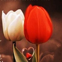 Mehmet DEVECİ (@mehmetdevec17) 's Twitter Profile