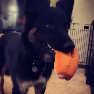 salamimamiii's profile picture. 