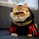 Sara Manzo - @SaraMan44225141 - Twitter