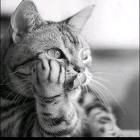 Близнак (@bliznaci123) 's Twitter Profile