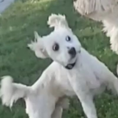 ne_arika's profile picture. 