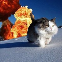 Flippin2AM (@flippin2am) 's Twitter Profile