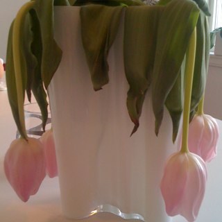 MonteMario's profile picture. Eksilbergenser i Fredrikstad, fotballglad fyr. Sånn ca midt i livet. Vi får se.