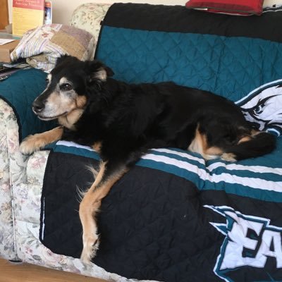 Love Philly Sports, Food,and our attitude about everyone not from here. Also love dogs and kids more then most people. Go Birds!!!!