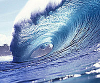 surfer_247's profile picture. 