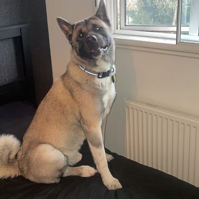 cajaemsa's profile picture. 