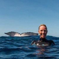 Sandra Bauer (@sbauer220578) Twitter profile photo