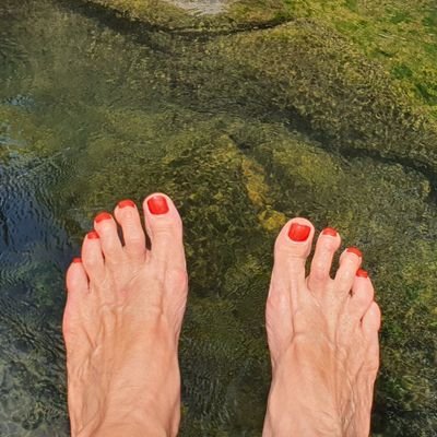 bopfox's profile picture. 