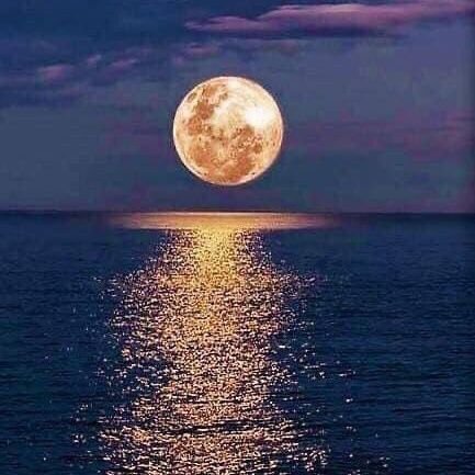 mewney1's profile picture. 📍🔥💯ilove you so much🧸
ทวิตนี้:เล่นเเทคอาจน้อยลงก็ขออภัยผู้ติดตามทุกๆคนนะคะ 🏆🏆🏆🏆🏆🏆🏆🏆🏆🏆 Tpop มิว suppasit. !! 😱