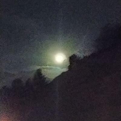 Marguinsolouna's profile picture. 