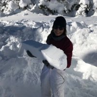 トモエ (@rakko3) 's Twitter Profile