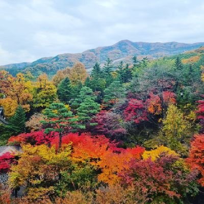 하고 싶은 말 끄적이는 계정