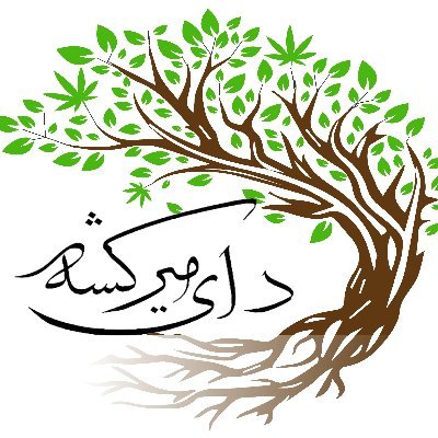 بنیاد دای مرکشه در پی معرفی و وصل نسل معاصر دای میرکشه با ریشه های شان می باشد