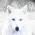 AquariuSpartan (@svigilaq) Twitter profile photo AquariuSpartan (@svigilaq) Twitter profile photo