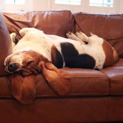 cral_num's profile picture. ว่าง