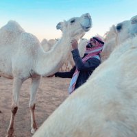 ﮼هاني ﮼الشراري (@2004als) 's Twitter Profile