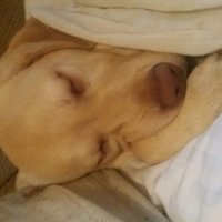 Tyler Roberts (@tylerro45685931) 's Twitter Profile