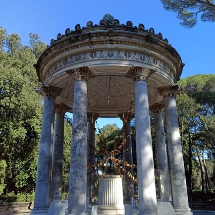 katmusal's profile picture. 