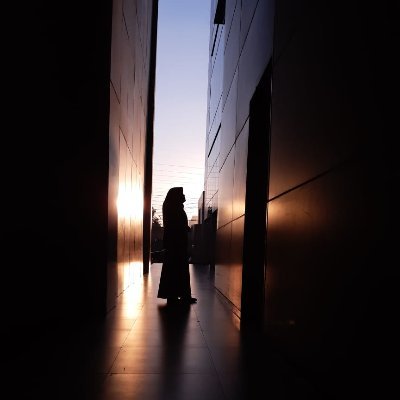 Mnooriza's profile picture. Ordinary Wanderer