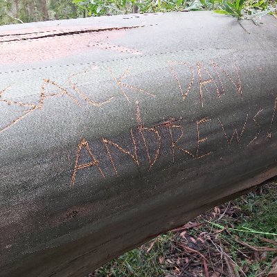 Sevac10's profile picture. 