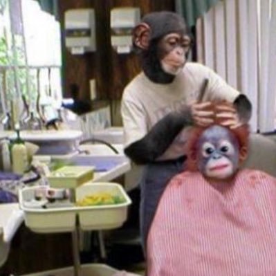 kuri04610118's profile picture. 