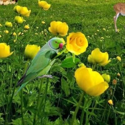 I need enjoying only real meeting உண்மையான உறவை தேடிஎவ்வளவு சொல்லியும் இது போல சில தேவிடியா பயலுகே இருக்க தான் செய்றான் aunti dmk நான் திமுக கொத்தடிமை இல்லை