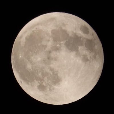 QxYICEz1cP1JcSz's profile picture. 